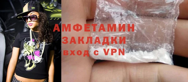 стаф Богданович
