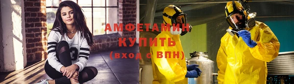 стаф Богданович