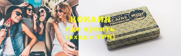 стаф Богданович