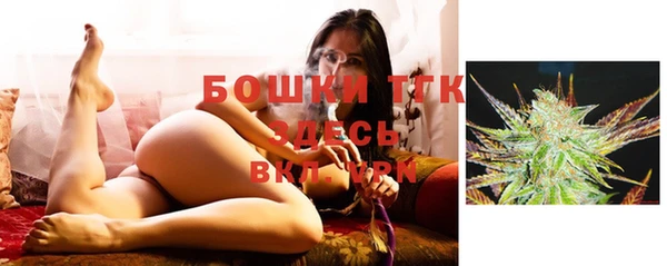 стаф Богданович