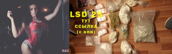 стаф Богданович
