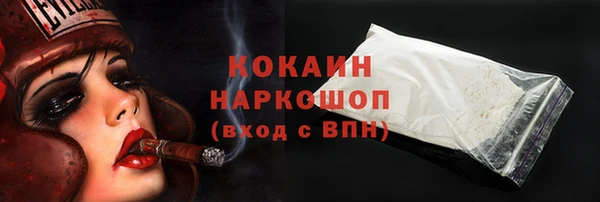 mdpv Богородицк