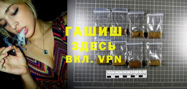 стаф Богданович