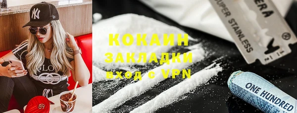 стаф Богданович