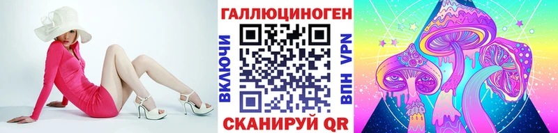 Псилоцибиновые грибы Psilocybine cubensis  Малоярославец 